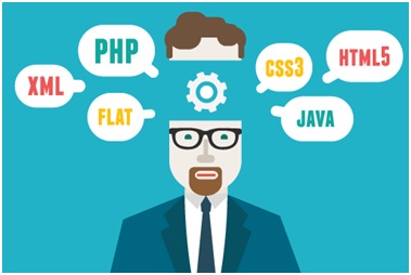 gambar bisnis jasa web developer