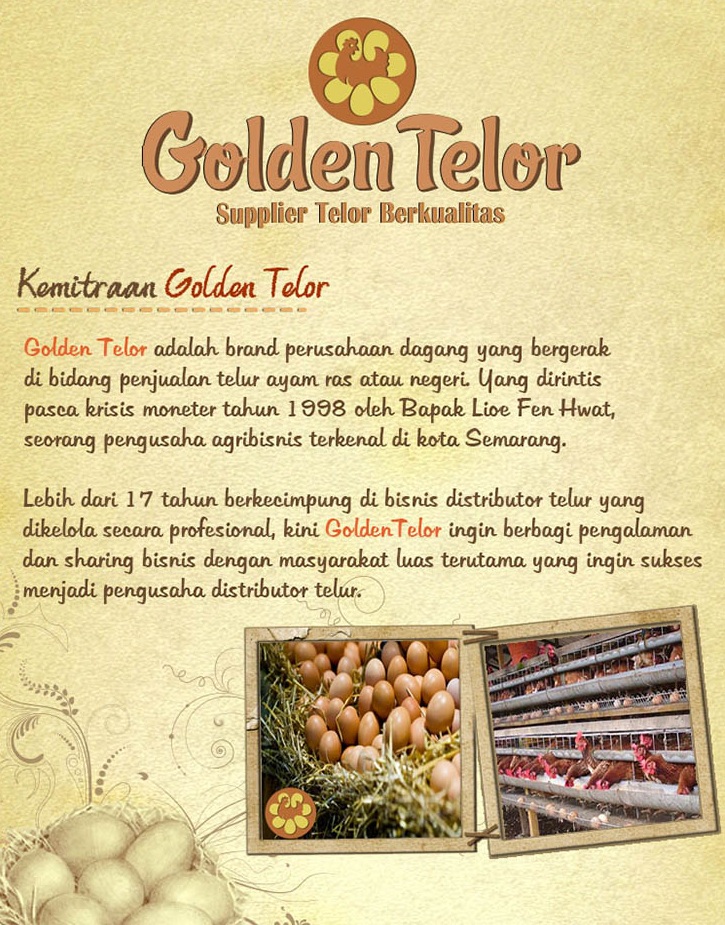 Franchise Golden Telur Kemitraan sebagai Distributor Telur Ayam