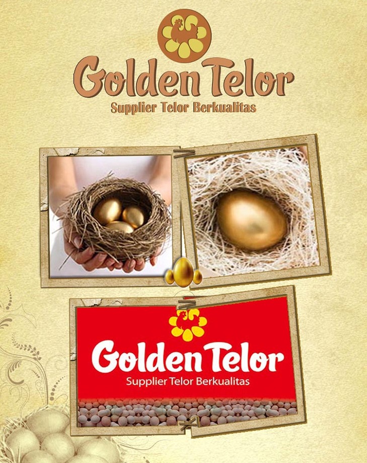 images agen telur premium golden telur 4