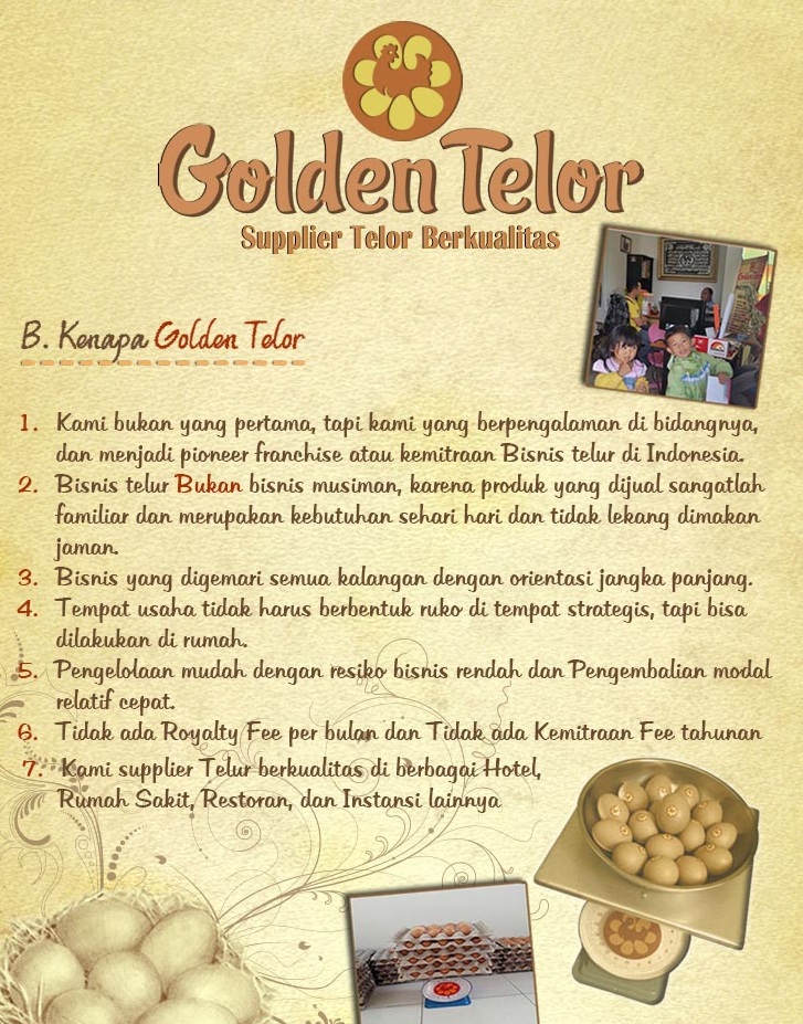 golden telur 6