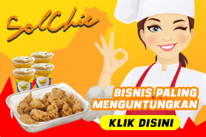 logo franchise solchic.min